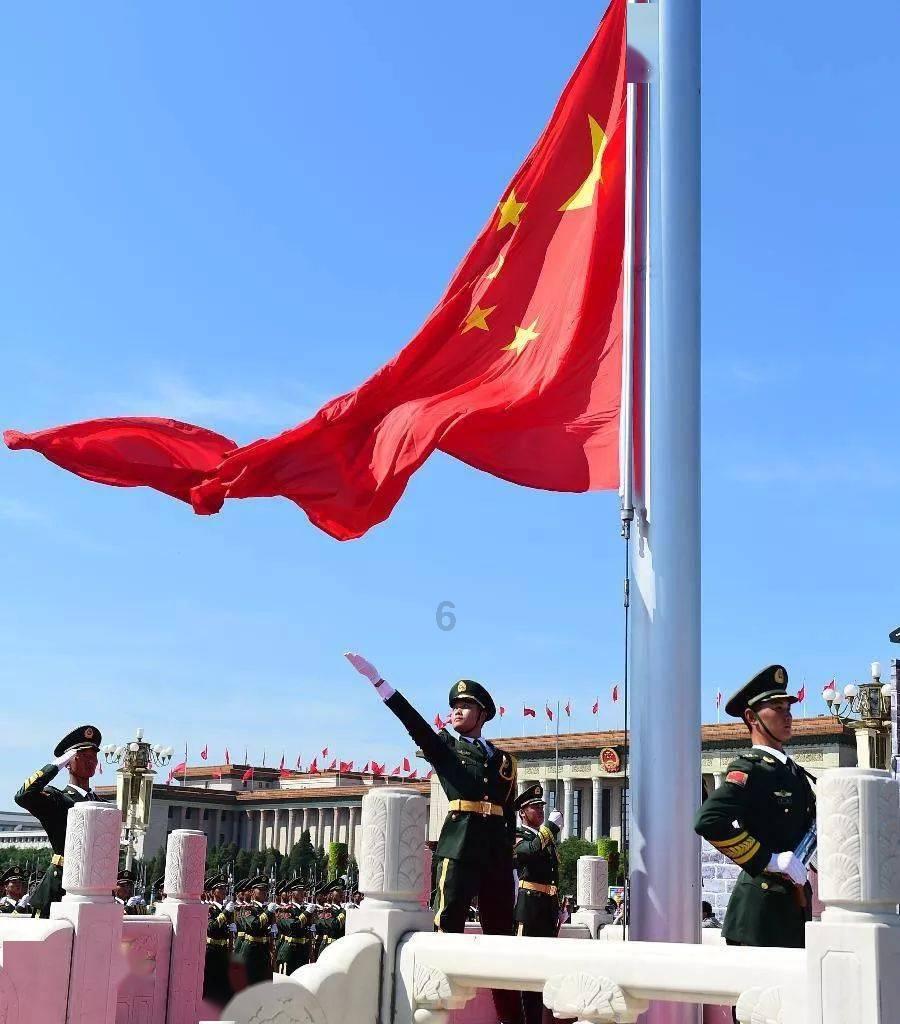拯救枯树