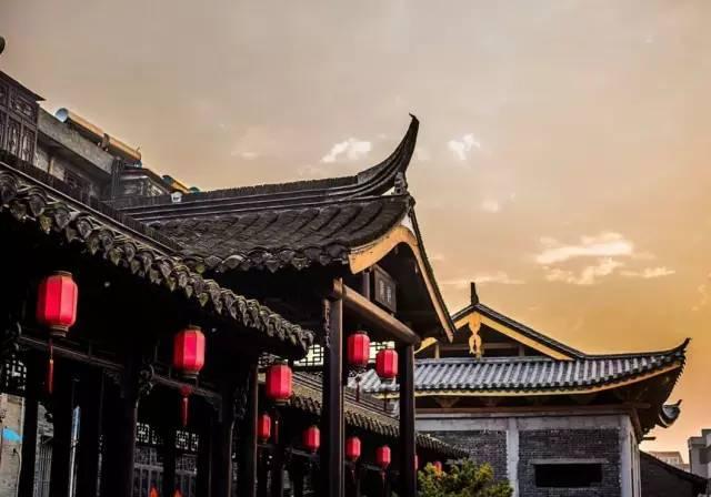 金毛寻回犬多少钱一只游戏画面